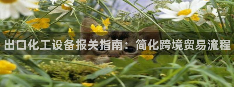 天辰平台测速登录不上去