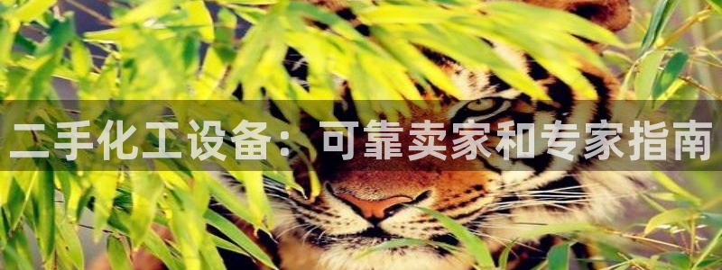 天辰平台注册地址在哪里
