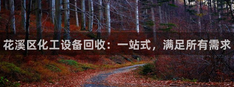 天辰团队玩彩平台是真的吗