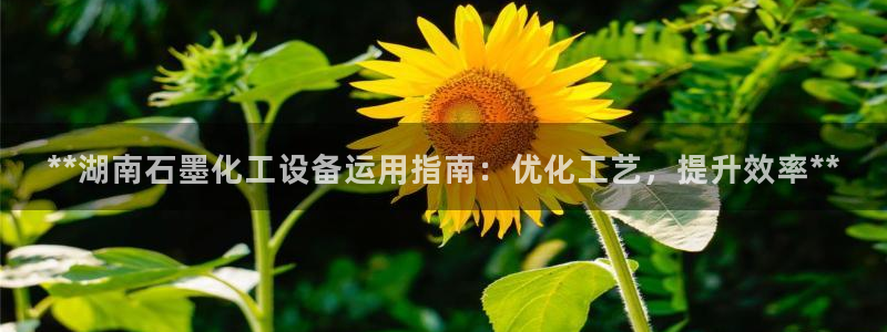 天辰平台怎么样可靠吗知乎