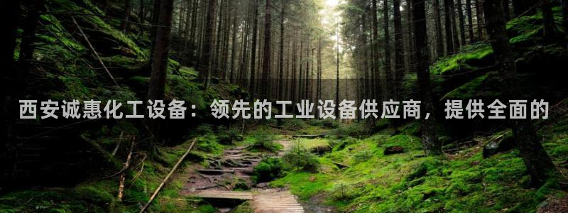天辰平台用户登录不了账号