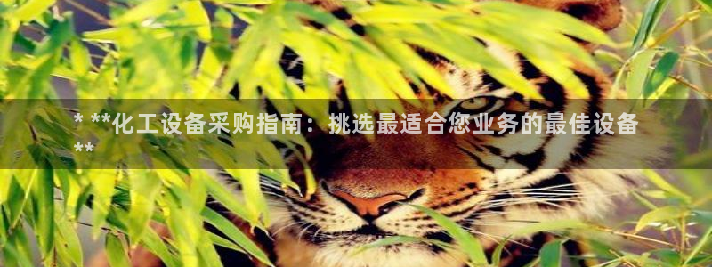 天辰娱乐的老板是谁呀