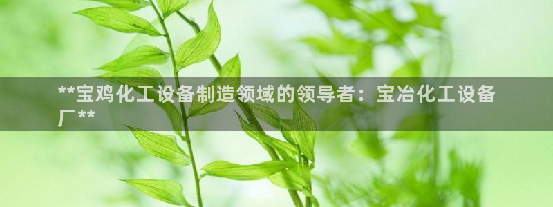 天辰娱乐的老板是谁啊