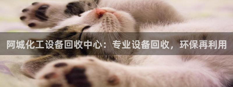 天辰平台你的专属平台是什么