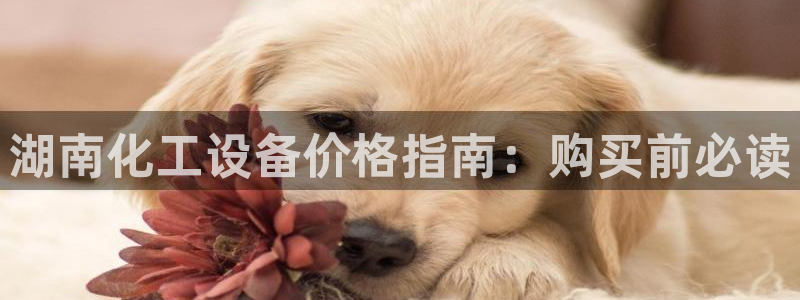 天辰注册会员要钱吗