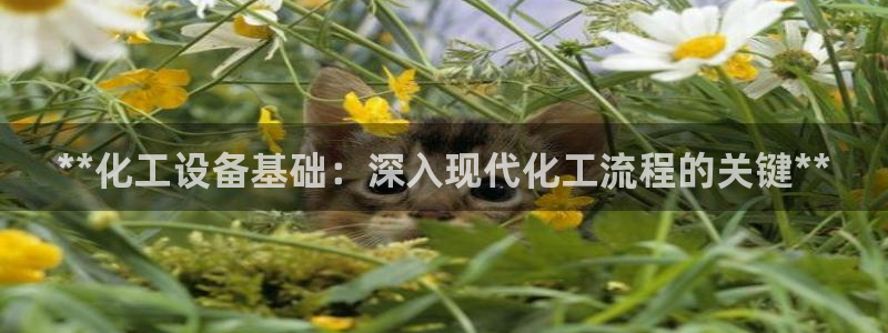 天辰平台用户登录入口网址