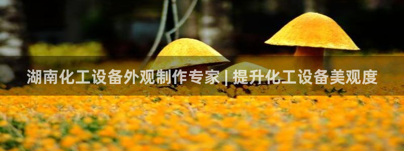 天辰平台招商1111怎么样啊