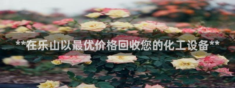 天辰平台推选 58534I 平台