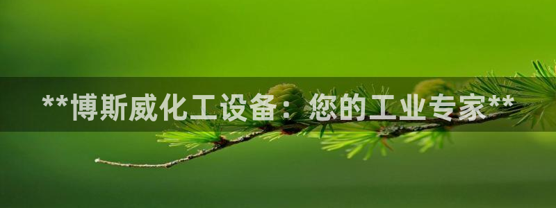 天辰平台测速登录不上怎么回事