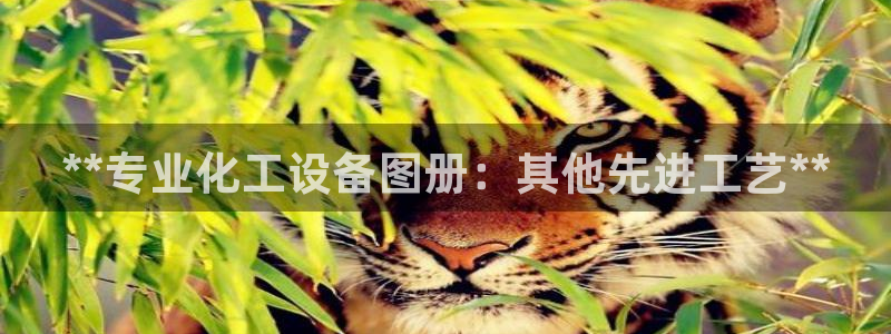 天辰平台取7O777