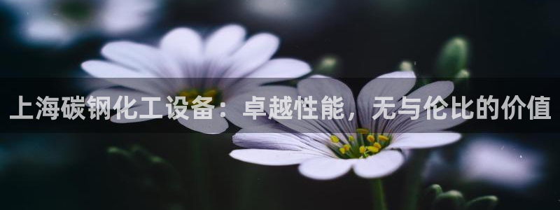 天辰平台招商1111是什么活动