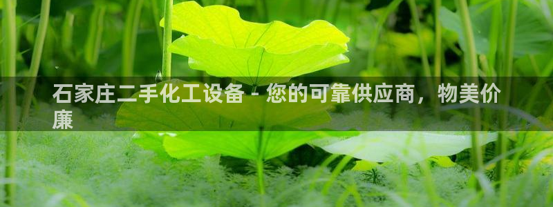 天辰平台注册地址怎么改的