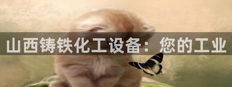 天辰平台会员多少钱一年