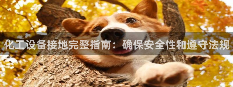 天辰平台网址是多少