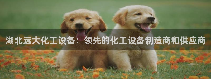 天辰平台怎么样退款申请