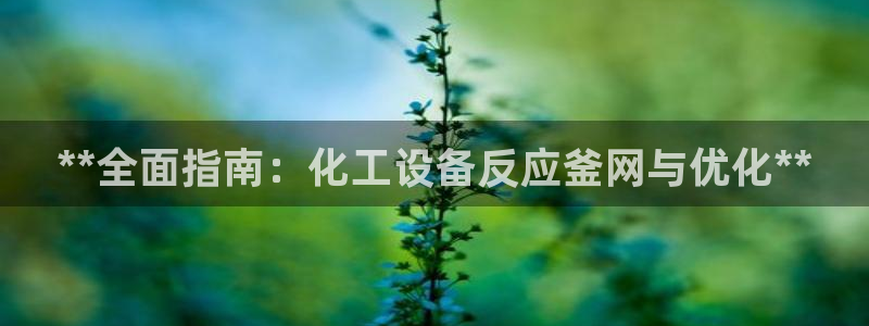 天辰平台需7O777