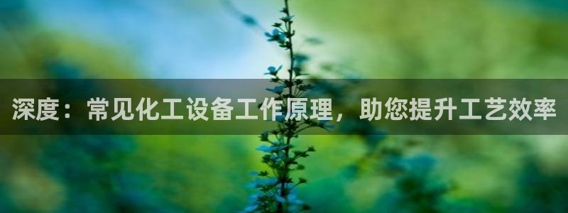 天辰平台 你的专属平台在哪里