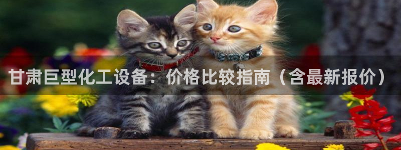 天辰平台会员多少钱