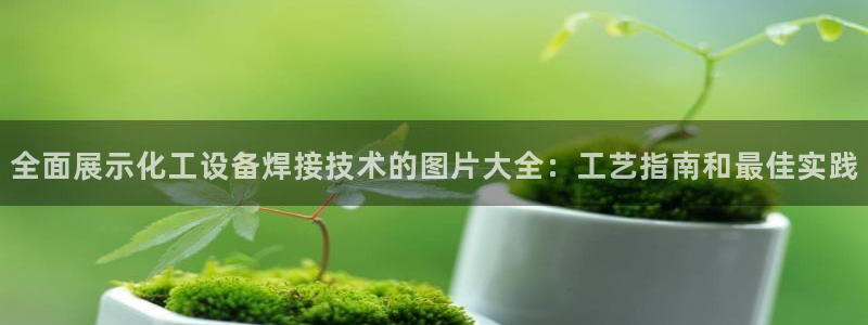天辰平台注册登录地址怎么改不了