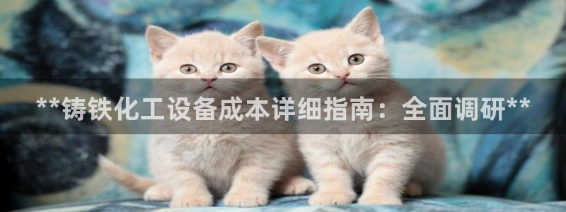 天辰正规注册通道安全