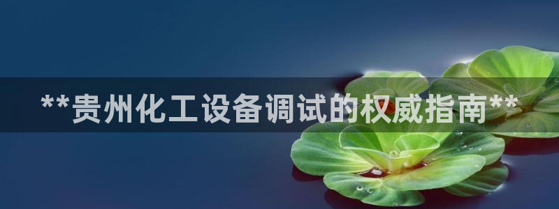 天辰平台注册稳定通道推荐