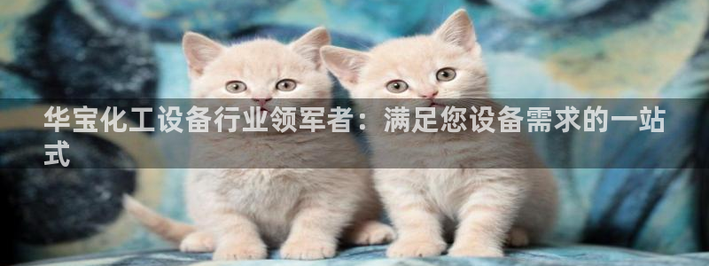 天辰会员开户多少钱