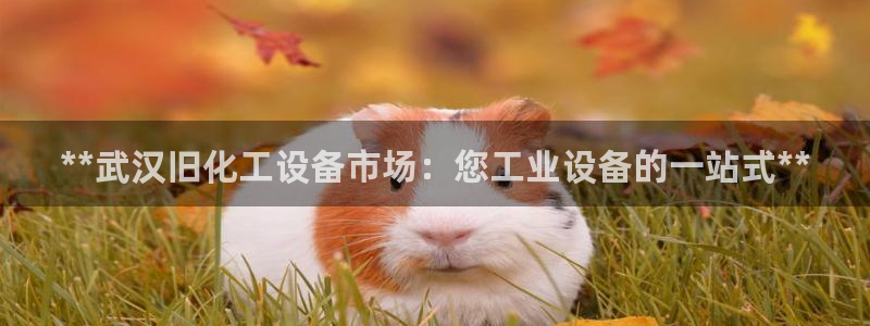 天辰平台陈7O777