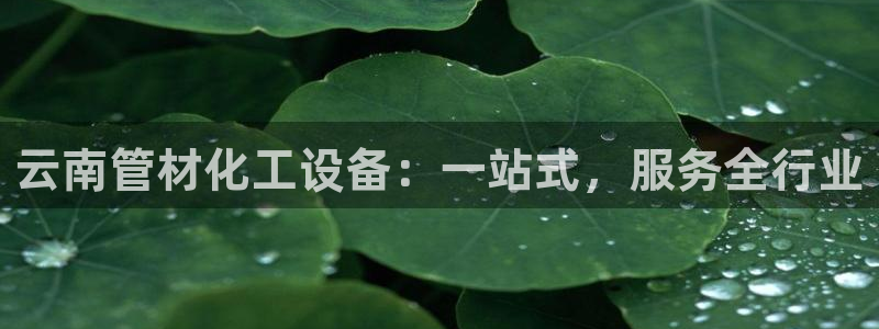 天辰平台诙3300