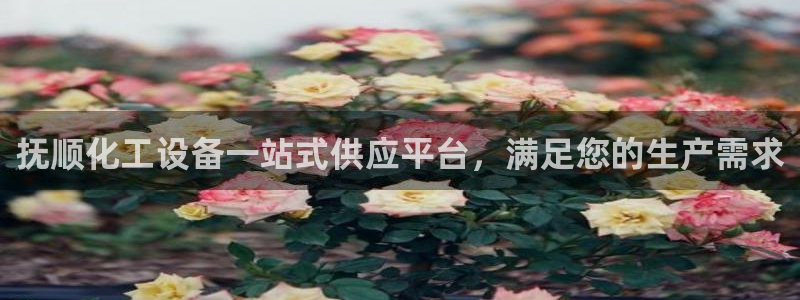 天辰网站