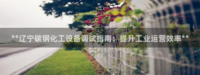 天辰娱乐官网最新公告查询