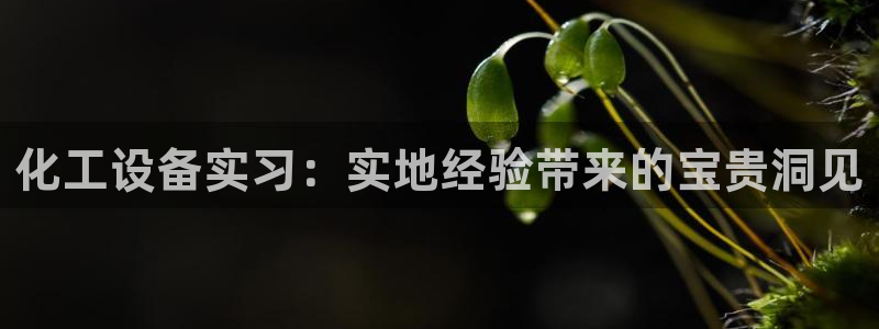 天辰平台测速登录不上怎么回事