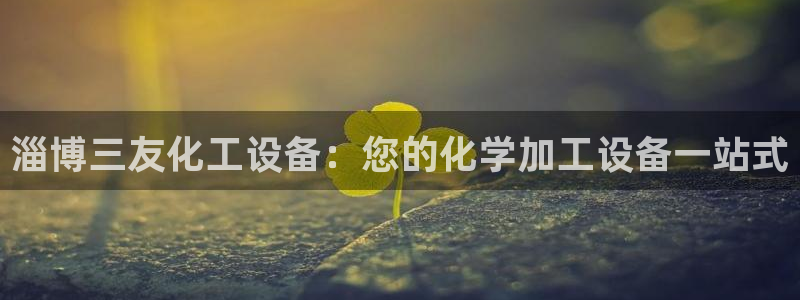 天辰娱乐注册于罚-46⒏99月台：淄博三友化工设备