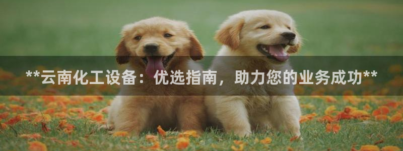 天辰平台推 5o69I7：**云南化工设备：优选指