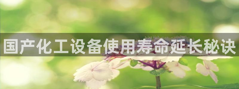 天辰信息网登录：国产化工设备使用寿命延长秘诀