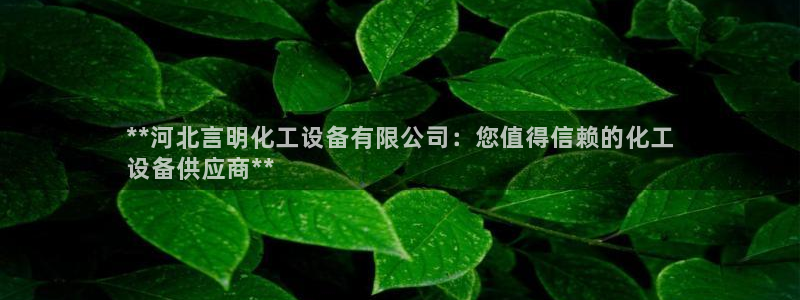 天辰平台示7O777：**河北言明化工设备有限公司
