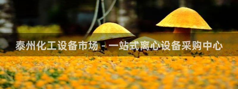 天辰平台怎么样可靠吗知乎