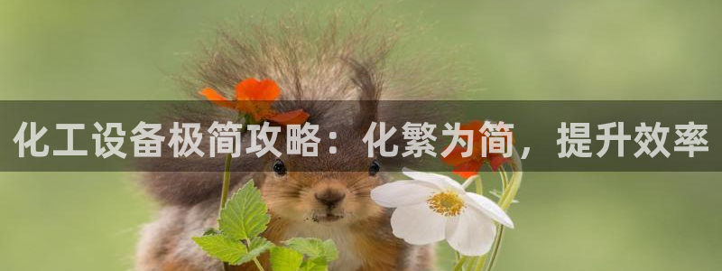 天辰平台专用注册通道安全吗