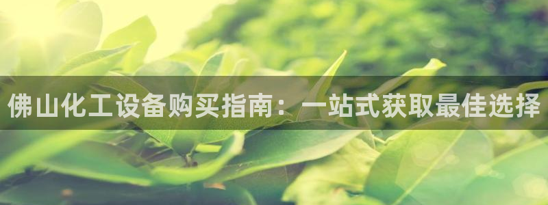 天辰娱乐平台用户评价与反馈