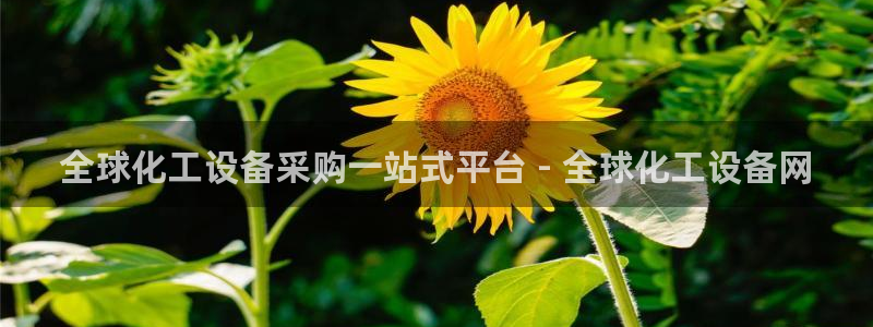 天辰测绘
