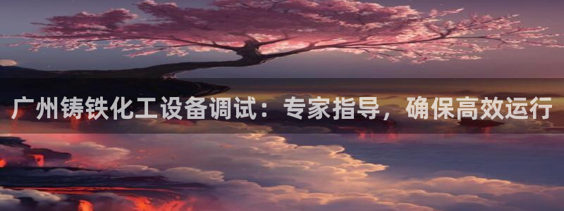 天辰娱乐代理注册平台登录系统：广州铸铁化工设备调试：专家指导
