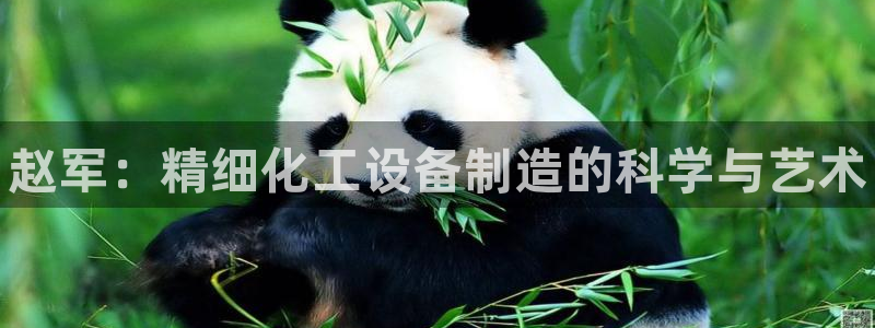 天辰平台怎么样：赵军：精细化工设备制造的科学与艺术