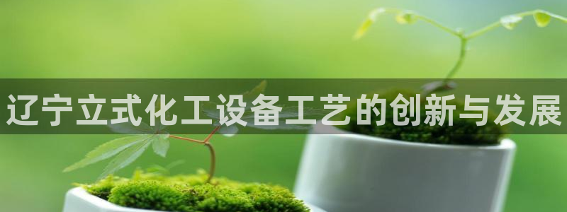 天辰平台招 411O31 平台：辽宁立式化工设备工