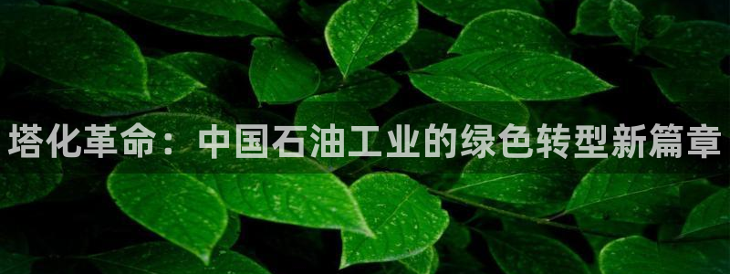 天辰娱乐都是干什么的作文