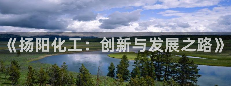 天辰网络：《扬阳化工：创新与发展之路》