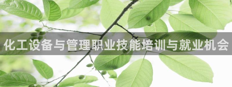 天辰平台用户登录失败