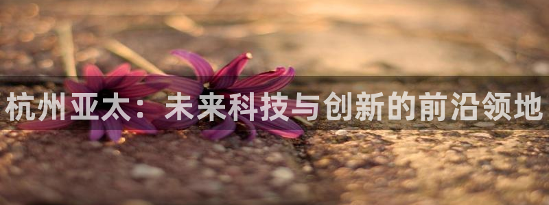 天辰平台毡3300：杭州亚太：未来科技与创新的前沿领地